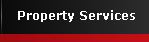 property services